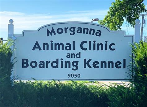 morganna animal clinic manassas va.